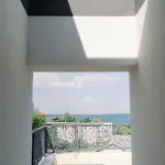 Novus