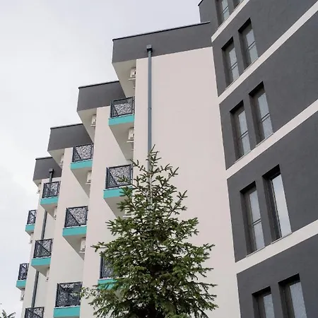 Novus 데포리노드